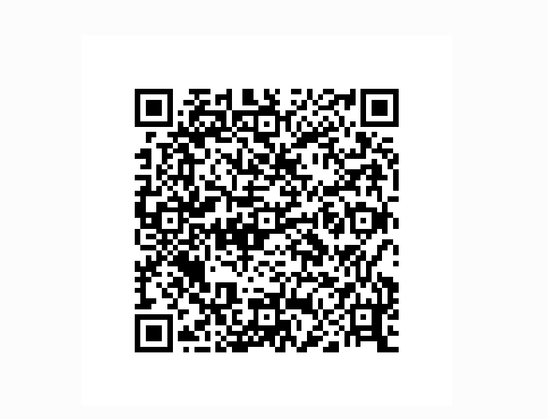 Company UPI QR Code